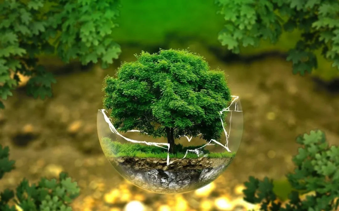 ISO 14001 Manajemen Lingkungan