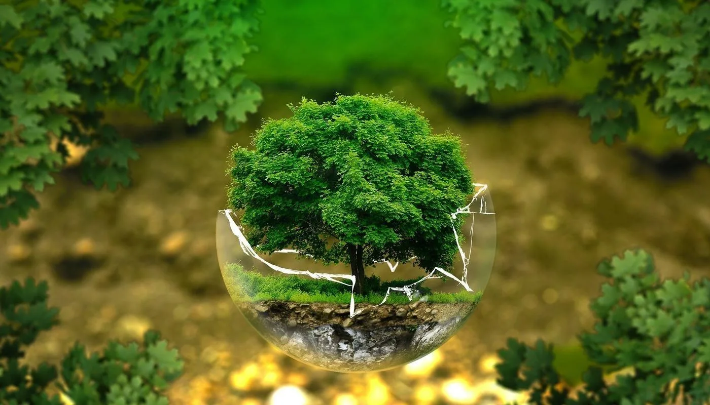 ISO 14001 Manajemen Lingkungan